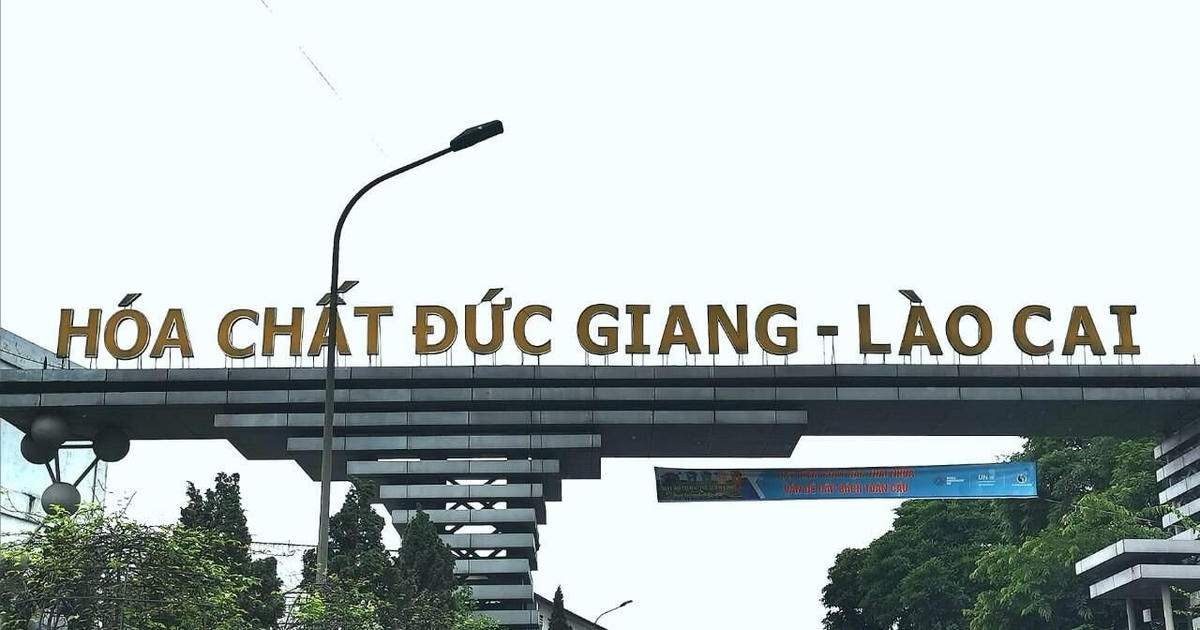 daidoanket.vn