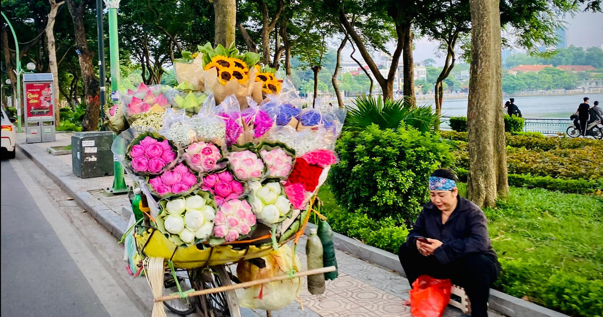 Những gánh hoa rong