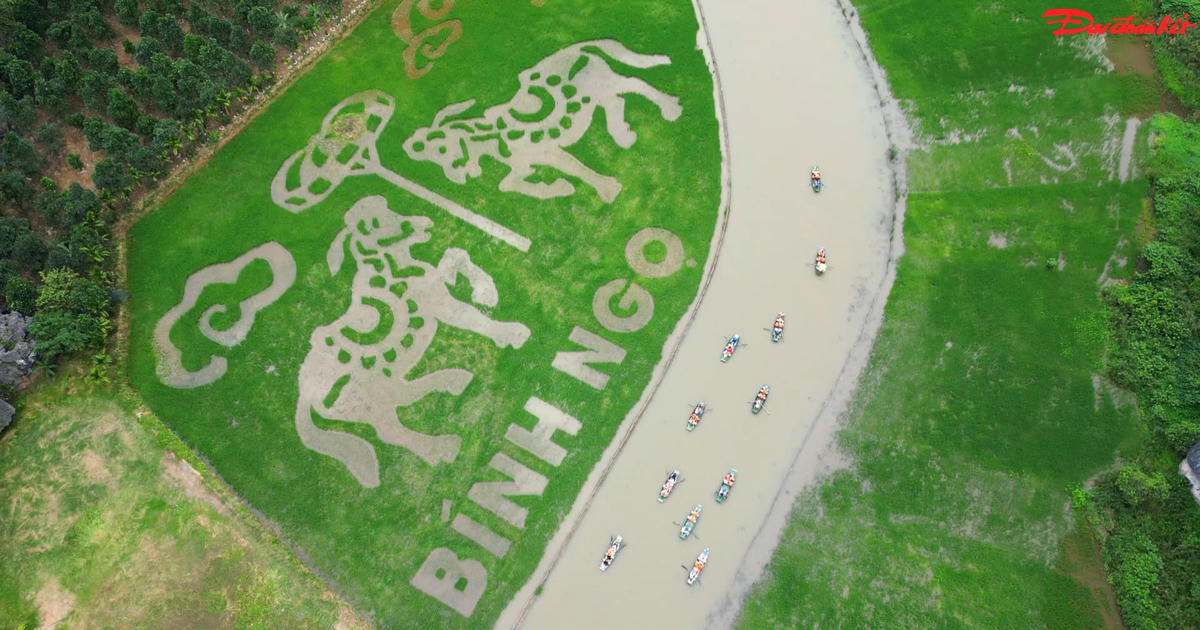 Bức tranh 'song mã chầu báo công' giữa cánh đồng đẹp bậc nhất Việt Nam