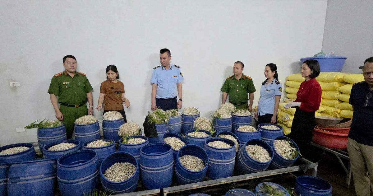 Quảng Ninh chỉ đạo "khẩn" sau vụ phát hiện giá đỗ chứa chất cấm