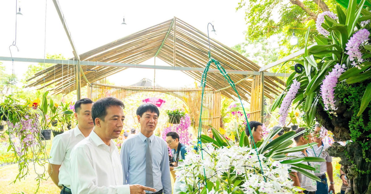 Ngắm hoa phong lan, cây bonsai, đá cảnh được trưng bày ở Đại Nội Huế