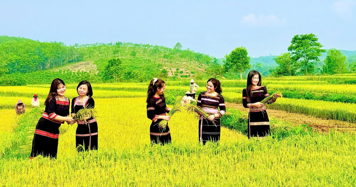 Vùng cao Quảng Ngãi sẵn sàng đón khách trong dịp lễ 30/4 và 1/5