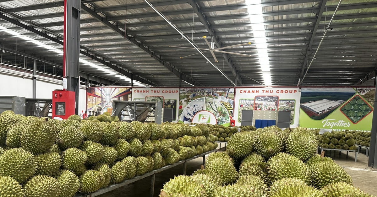 Xuất khẩu nông sản Việt Nam tăng tốc trong tháng 7, củng cố đà tăng trưởng