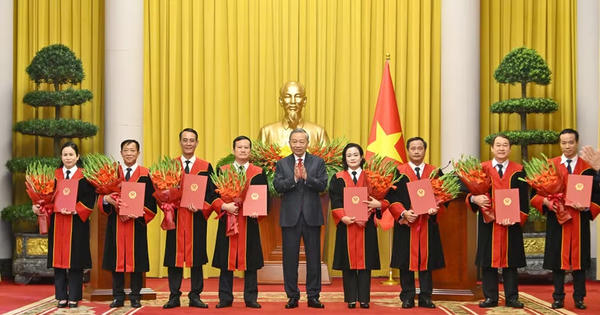 Tổng Bí thư, Chủ tịch nước Tô Lâm trao quyết định bổ nhiệm Thẩm phán TAND tối cao