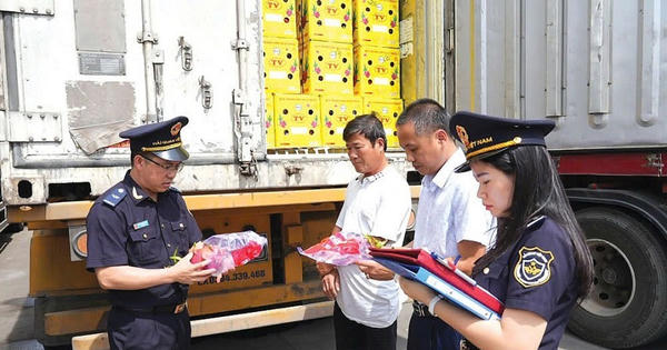 Chuyển cơ quan điều tra 18 vụ việc có dấu hiệu tội phạm