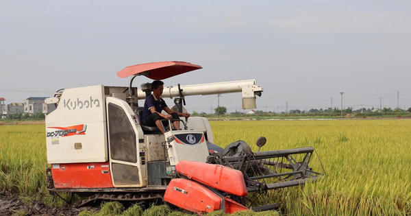 Tăng hiệu quả sản xuất và giảm phát thải cho canh tác lúa đồng bằng sông Hồng