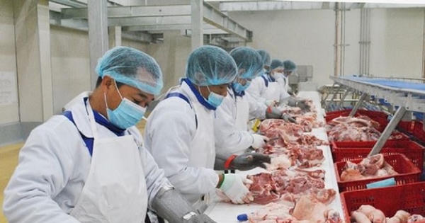 Xuất khẩu nông, lâm, thủy sản: Nỗ lực bứt tốc cuối năm