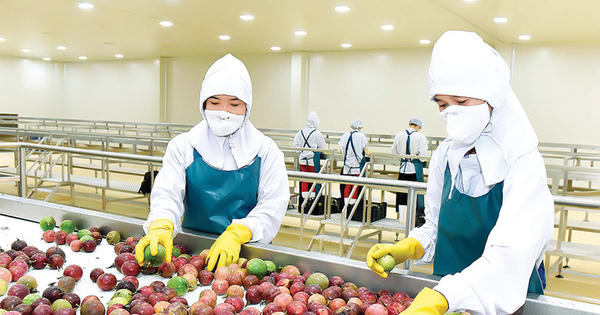 Xuất khẩu nông, lâm, thủy sản: Tăng tốc, tạo đà về đích cuối năm