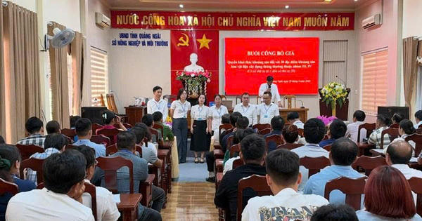 "Choáng váng" giá cát đấu giá tại Quảng Ngãi: Vượt mốc 1 triệu đồng/m³, cao gấp 4 lần thị trường