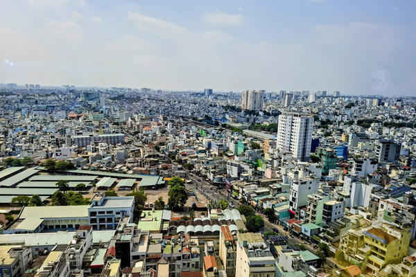 TP Hồ Chí Minh tham vấn chuyên gia xây dựng Luật Đô thị đặc biệt