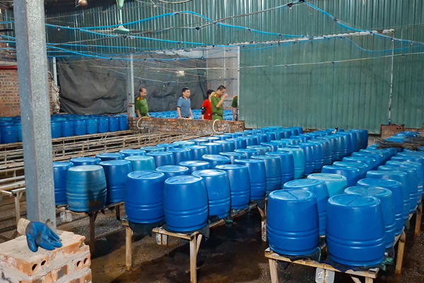 Cận cảnh cơ sở sản xuất hơn 500 tấn giá đỗ có sử dụng chất độc hại