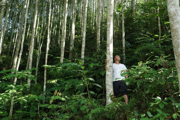 Cơ hội cho ngành gỗ Việt
