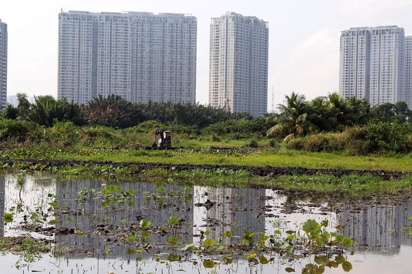 Tiền sử dụng đất được tính từ khi nào? Tiền sử dụng đất được tính từ khi nào?