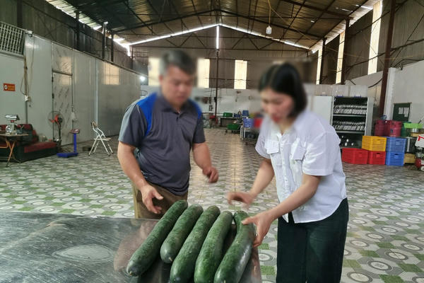 Thái Nguyên: Kiểm tra đột xuất cơ sở cung cấp thực phẩm vào Trường mầm non Hòa Bình