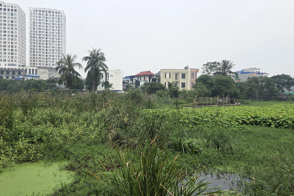 Ninh Bình: Hồ nước bỏ hoang, gây ô nhiễm giữa lòng đô thị Ninh Bình: Hồ nước bỏ hoang, gây ô nhiễm giữa lòng đô thị
