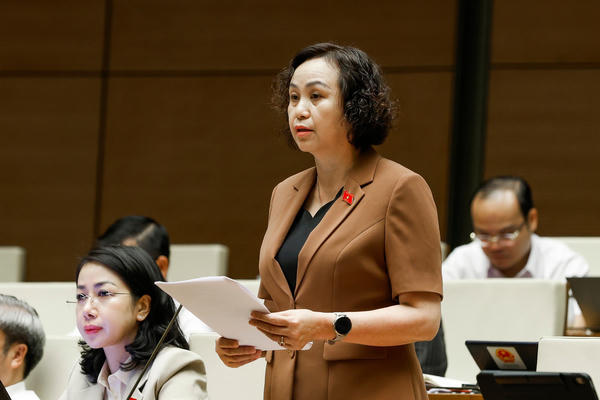 Kiến nghị Quốc hội cho phép trợ giúp pháp lý trong lĩnh vực kinh doanh cho hộ nghèo, người dân tộc thiểu số