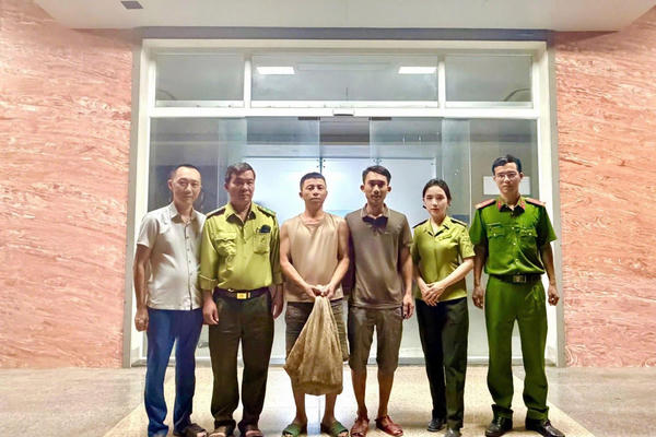 Quảng Trị: Tiếp nhận 2 cá thể tê tê quý hiếm từ người dân