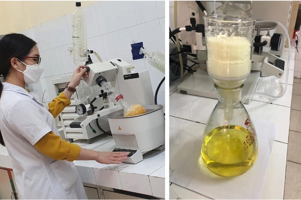 Ra mắt VREF: Đầu tư tới 1 tỷ đồng/năm cho nghiên cứu sinh xuất sắc Ra mắt VREF: Đầu tư tới 1 tỷ đồng/năm cho nghiên cứu sinh xuất sắc