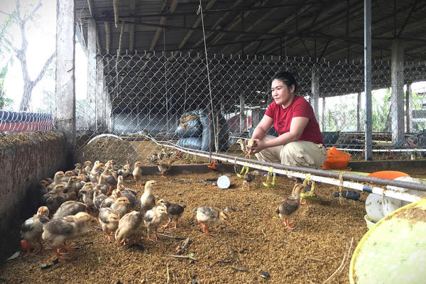 Người dân mong tiền hỗ trợ sau thiên tai Người dân mong tiền hỗ trợ sau thiên tai