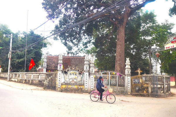 Công trình tự ý xây trên đất di tích lịch sử cấp Quốc gia- Chùa Bảo Tháp: Giám đốc Sở Văn hoá và Thể thao Hà Nội đề nghị làm rõ trách nhiệm tổ chức, tập thể, cá nhân