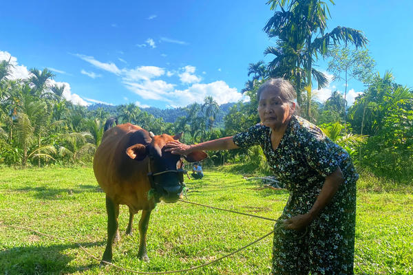 Sự hồi sinh mạnh mẽ giữa đại ngàn Trà Tân