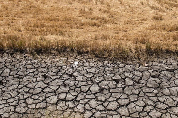 El Nino 2026: Cảnh báo thiếu hụt nguồn nước, tiềm ẩn rủi ro an ninh năng lượng