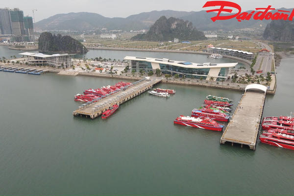 Quảng Ninh: Đồng hành cùng các đơn vị vận tải vượt ‘bão giá’ năng lượng