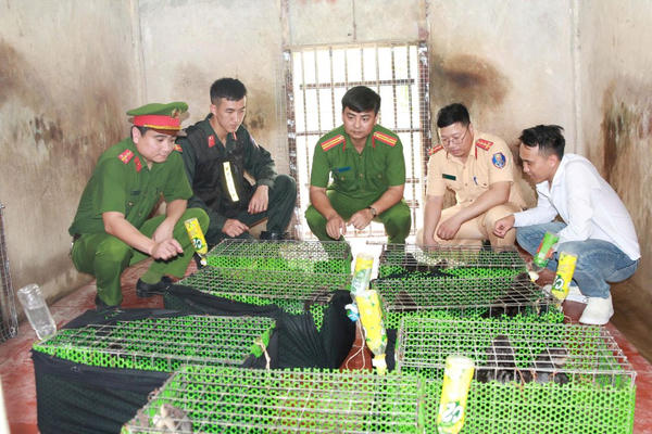 Triệt xóa đường dây mua bán, vận chuyển động vật nguy cấp, quý hiếm