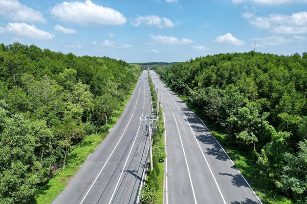 TP Hồ Chí Minh: Nghiên cứu nâng cấp đường Rừng Sác thành tuyến giao thông chiến lược