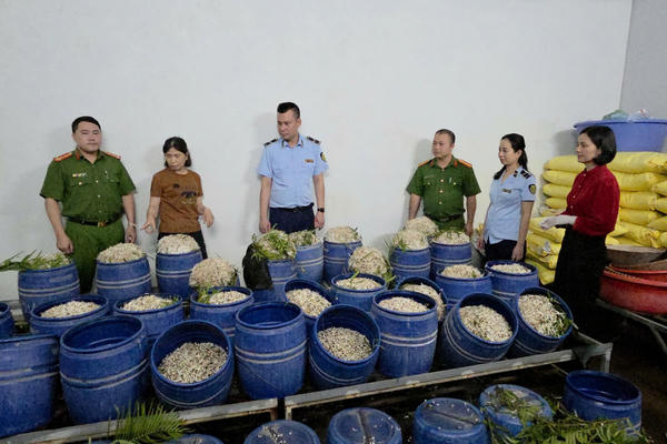 Quảng Ninh chỉ đạo "khẩn" sau vụ phát hiện giá đỗ chứa chất cấm