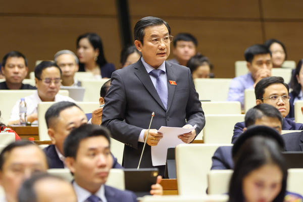 Đại biểu Quốc hội: Quốc hội cần mở một hành trình vươn mình cho kinh tế tư nhân