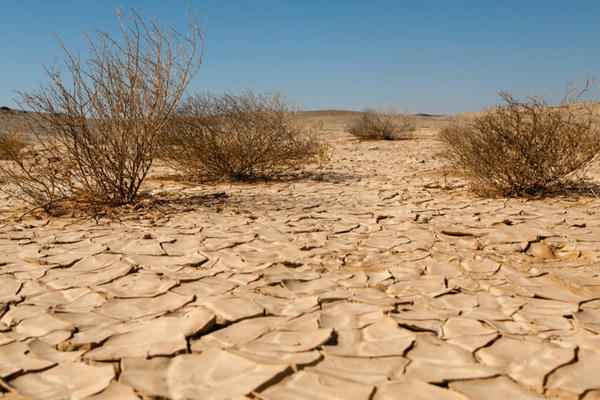 Sa mạc hóa lan rộng trên thế giới