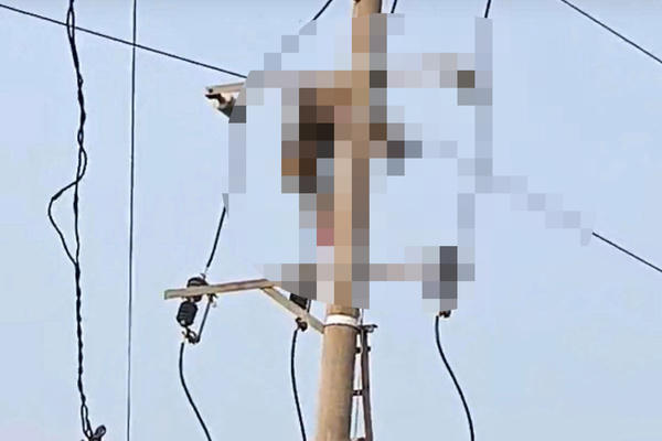 Nghệ An: Phát hiện thi thể nam thanh niên mắc kẹt trên cột điện 35kV