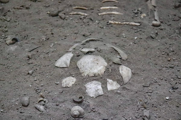 Về nơi lưu giữ bộ xương người tiền sử hơn 7.500 năm 