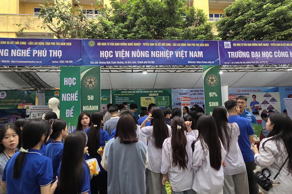 Gắn kết hướng nghiệp với thực tiễn 