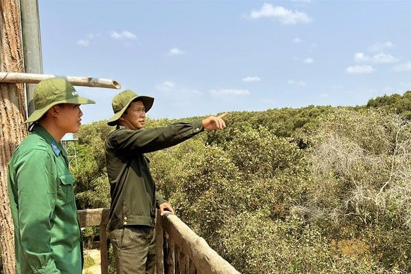 Đồng Tháp: Tràm Chim, Gò Tháp giữ rừng mùa khô siết chặt phòng cháy