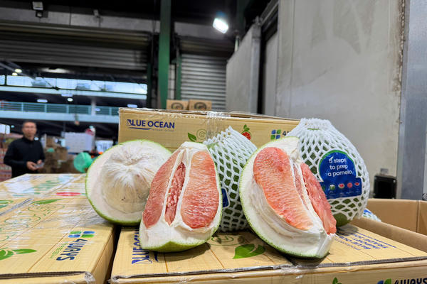  Lô bưởi Việt Nam lần đầu vào Úc