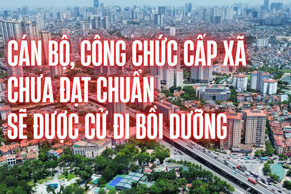 Infographic: 100% cán bộ, công chức cấp xã chưa đạt chuẩn chuyên môn sẽ được cử đi bồi dưỡng