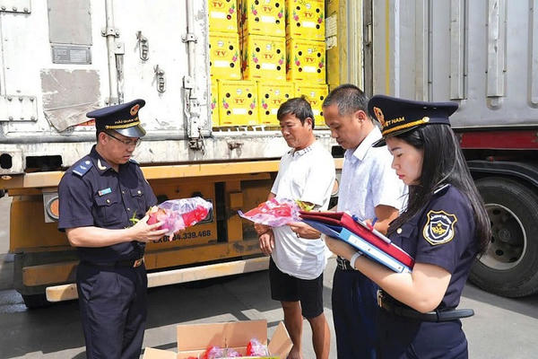 Chuyển cơ quan điều tra 18 vụ việc có dấu hiệu tội phạm