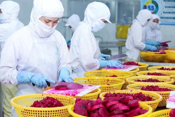 Biến Halal thành động lực thực chất cho tăng trưởng