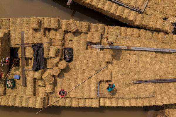 Chợ rơm Ba Lai sôi động, “đánh thức” giá trị từ đồng ruộng 