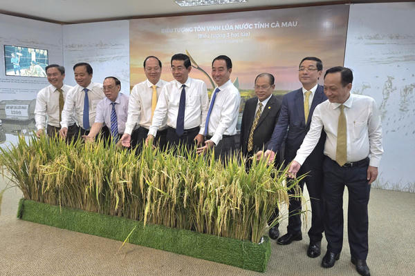 Cà Mau thành lập Bảo tàng tôn vinh hạt lúa 