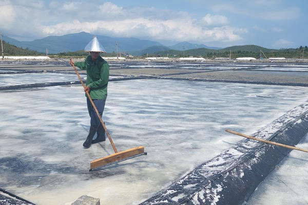 Khánh Hòa: Hướng đi mới của diêm dân Hòn Khói