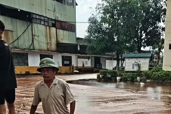 Nghệ An: Sét đánh trúng bể chứa, hàng nghìn tấn mật mía tràn ra khuôn viên