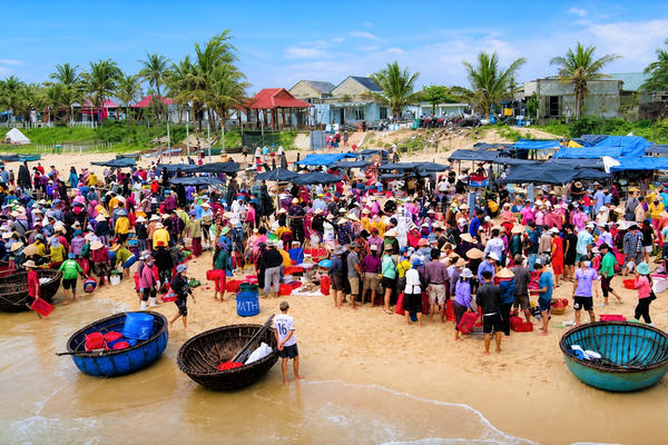 Đà Nẵng: Nhộn nhịp chợ hải sản Tam Tiến 
