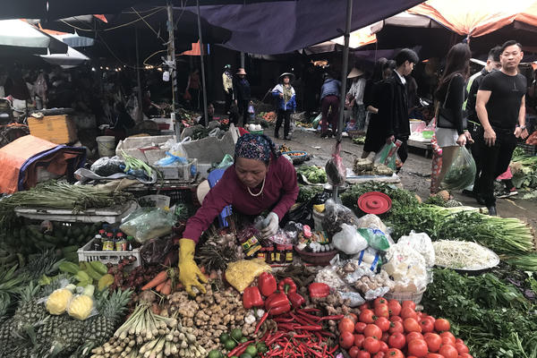 Áp lực “bão giá”