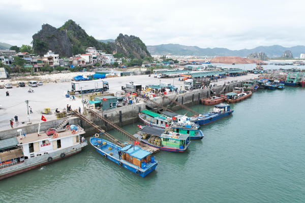 Quảng Ninh: Công bố mở cảng cá Cái Rồng tại đặc khu Vân Đồn