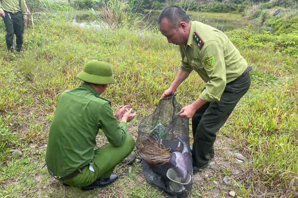 Quảng Ninh: Ra quân xử lý tình trạng săn bắt chim hoang dã trái phép