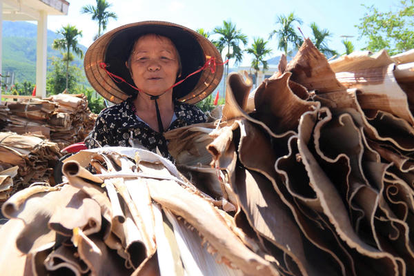 Quảng Ngãi: Từ mo cau bỏ đi đến sản phẩm “xanh” mang lại thu nhập