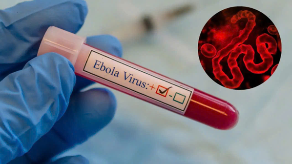 Chủ động ngăn chặn nguy cơ dịch Ebola xâm nhập